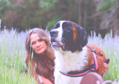 Lavender Field Photography Sessions | Lavender Field Photos