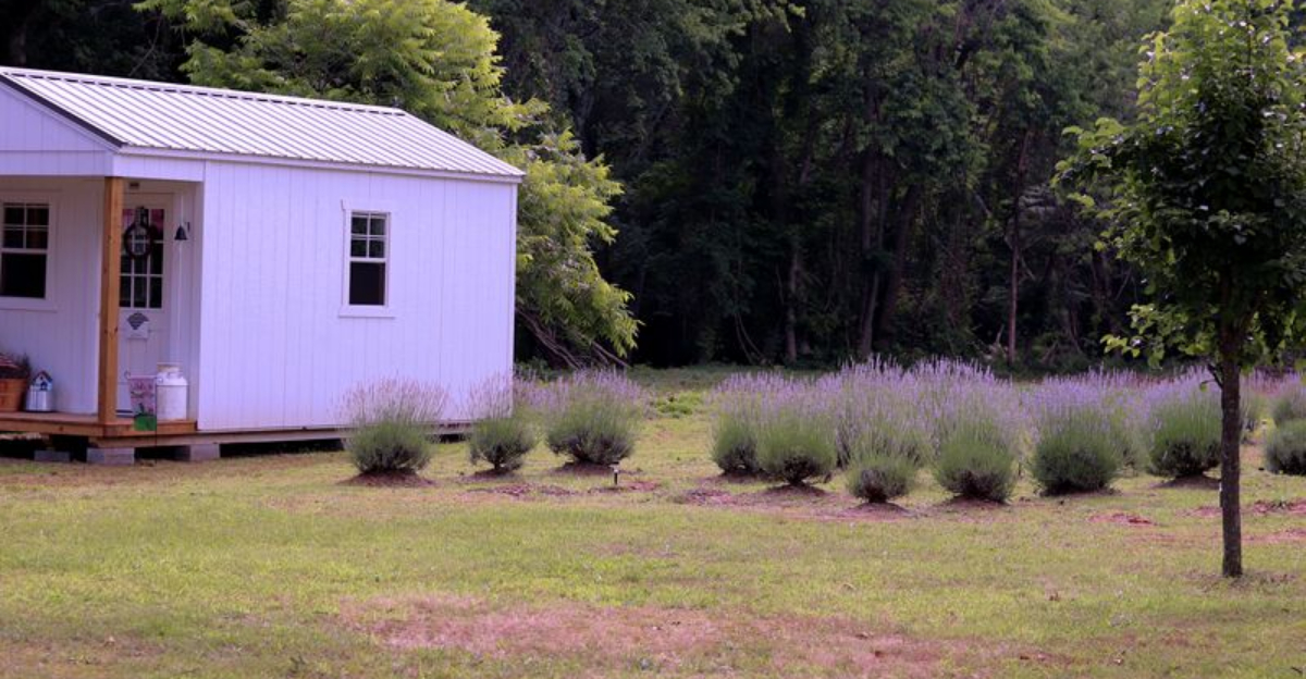 Wildflower Farm in NC