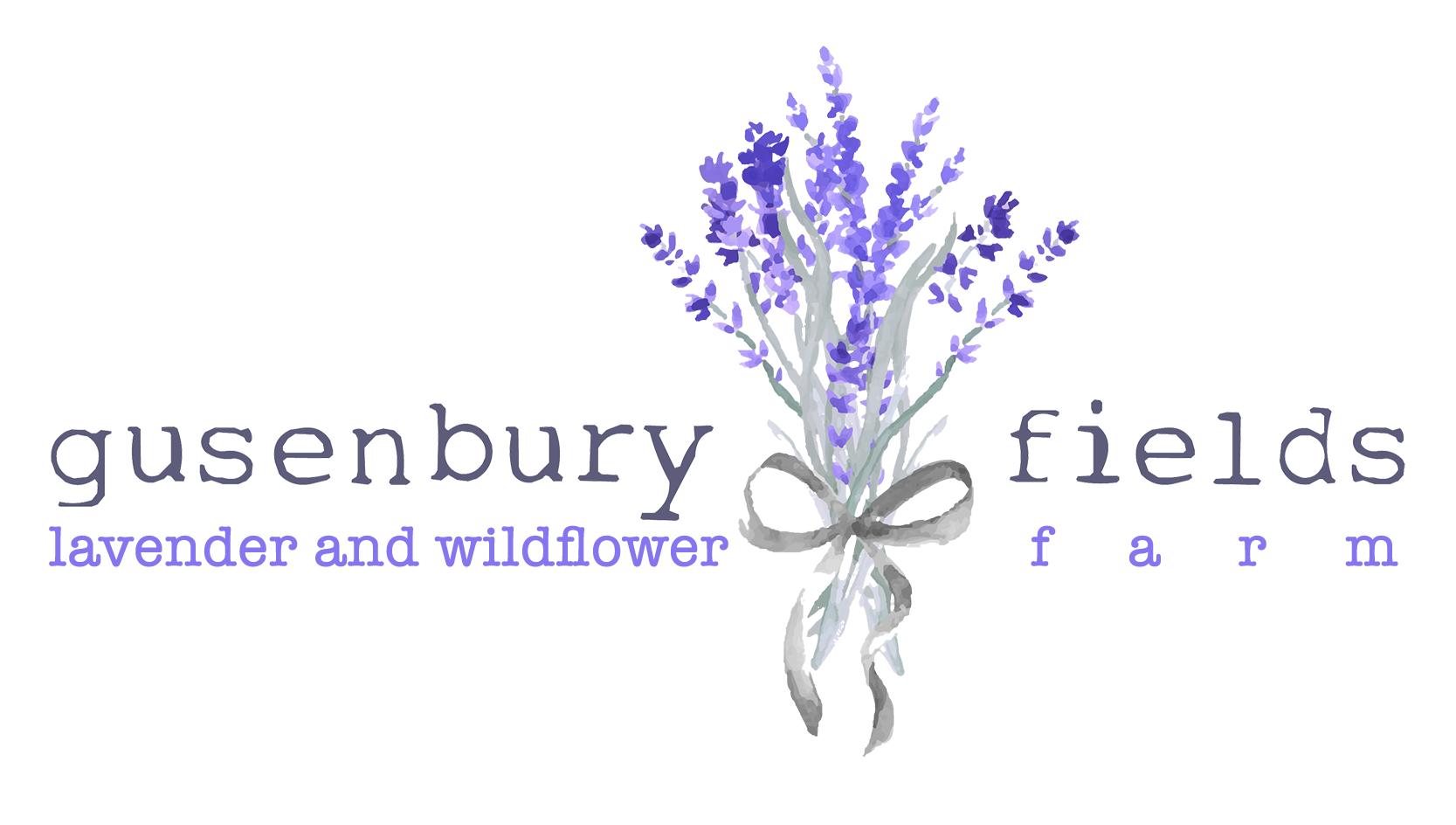 Gusenbury Fields Lavender Farm Whitsett, NC